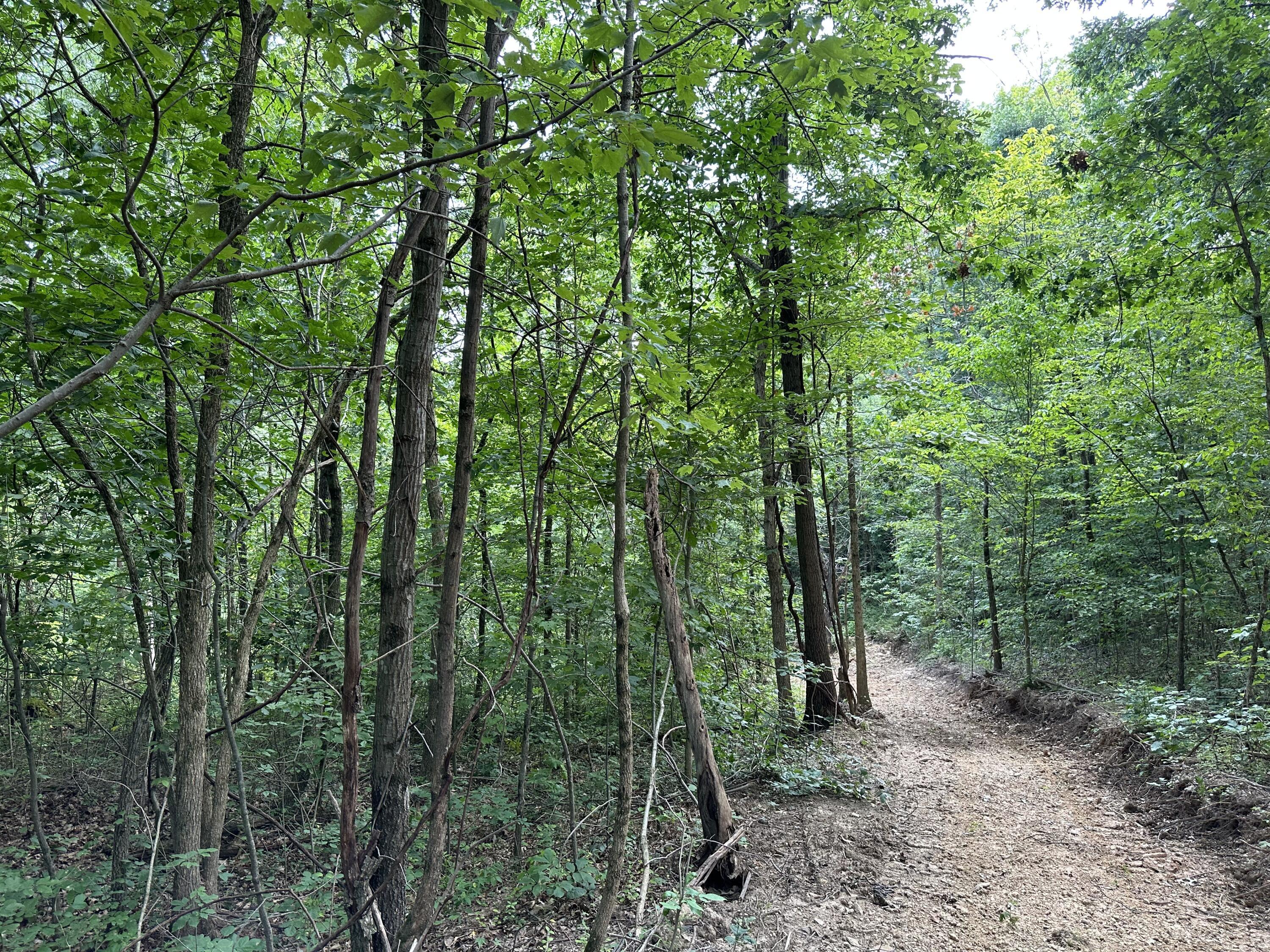 6690 Old State Road, (Perry Ridge - Tract 6)