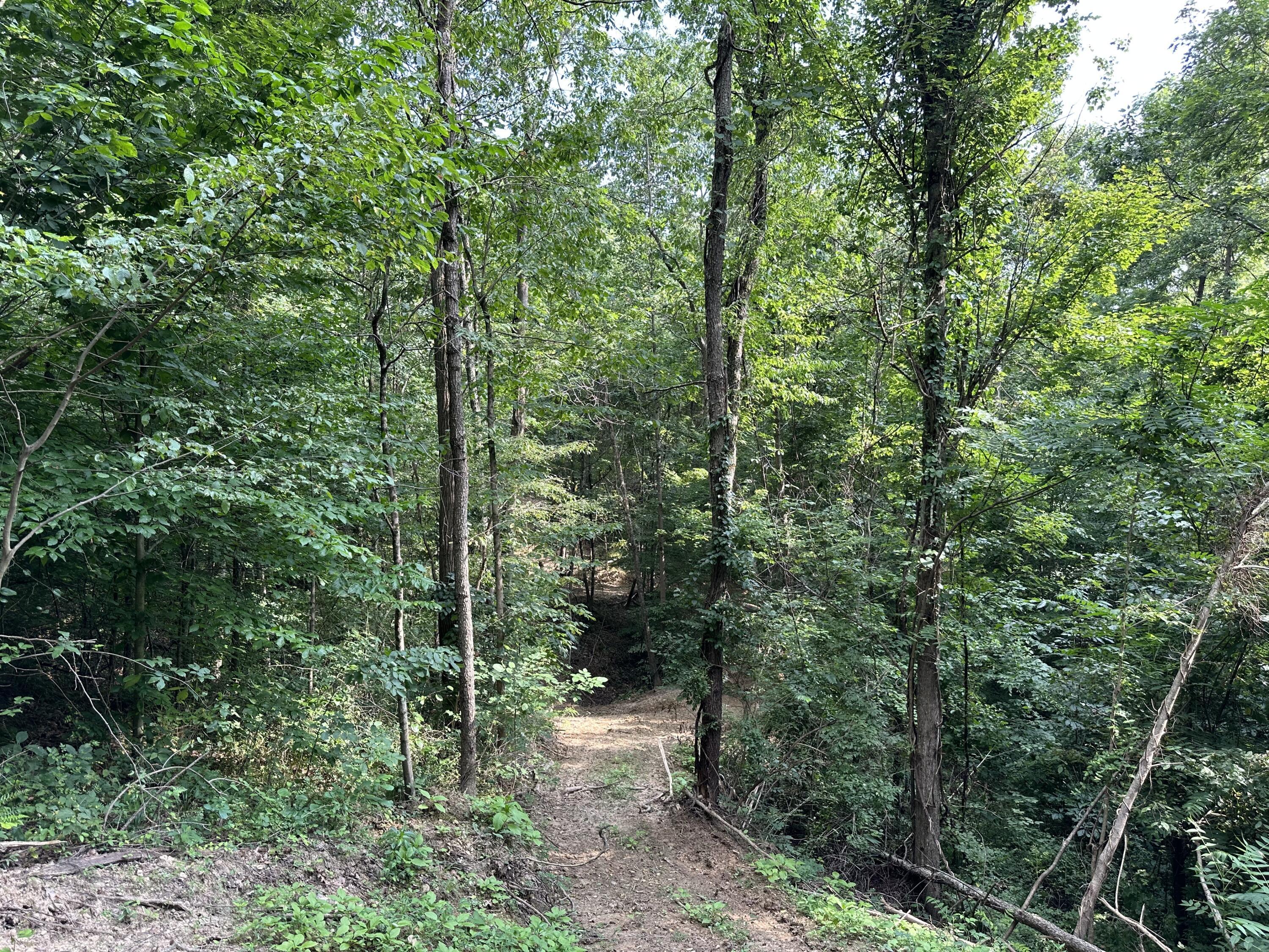 6690 Old State Road, (Perry Ridge - Tract 6)