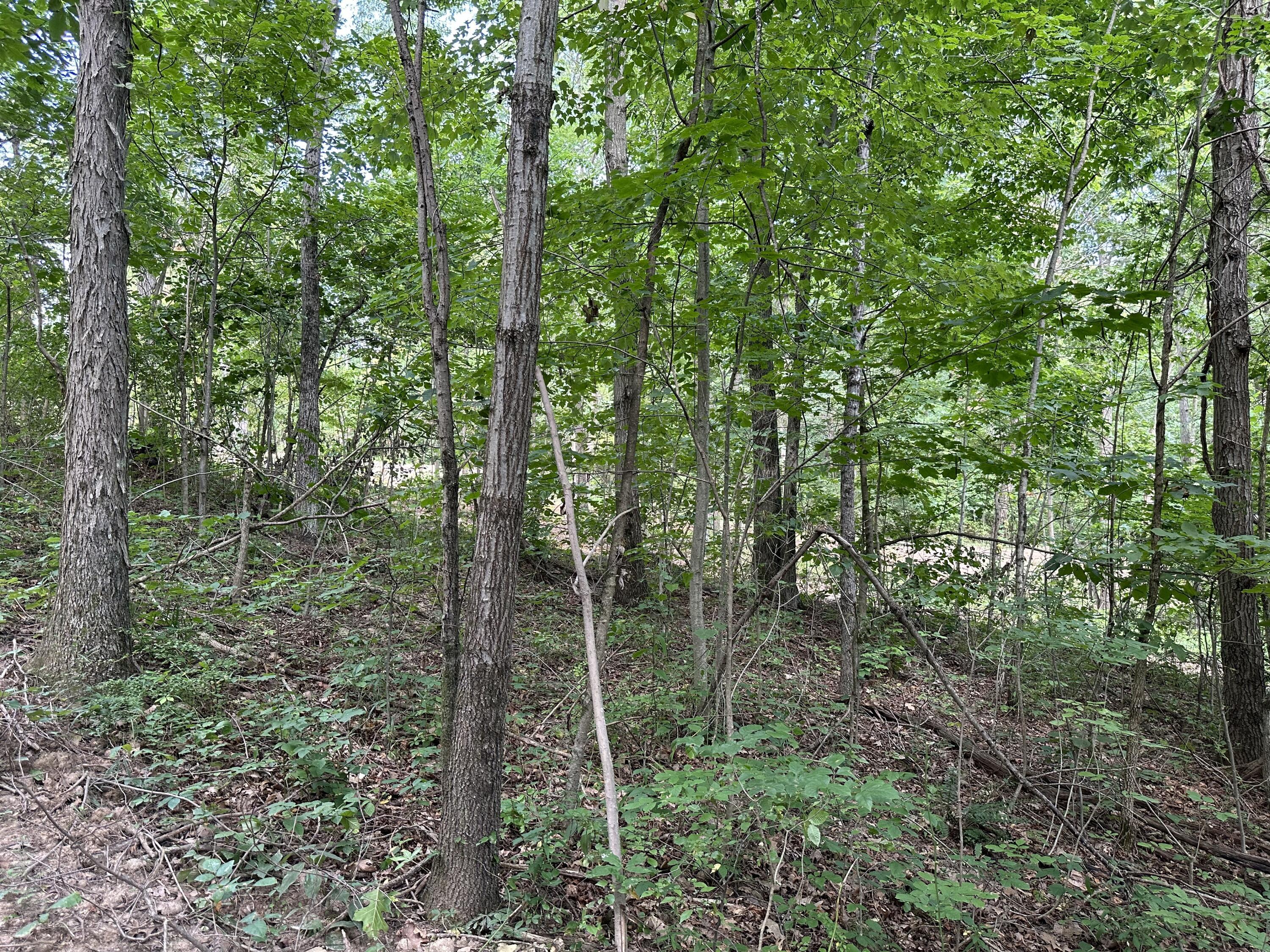 6690 Old State Road, (Perry Ridge - Tract 6)