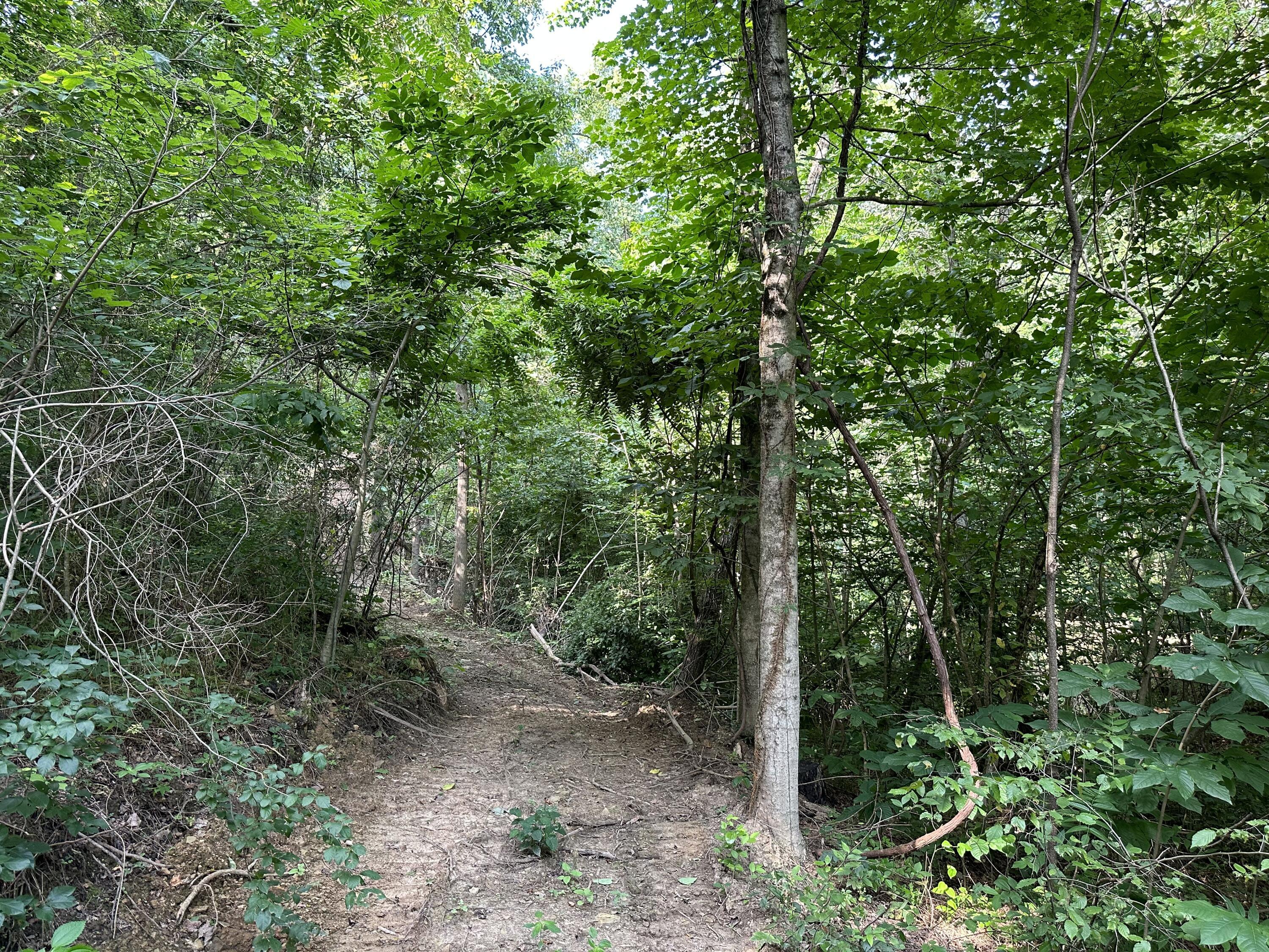 6690 Old State Road, (Perry Ridge - Tract 6)