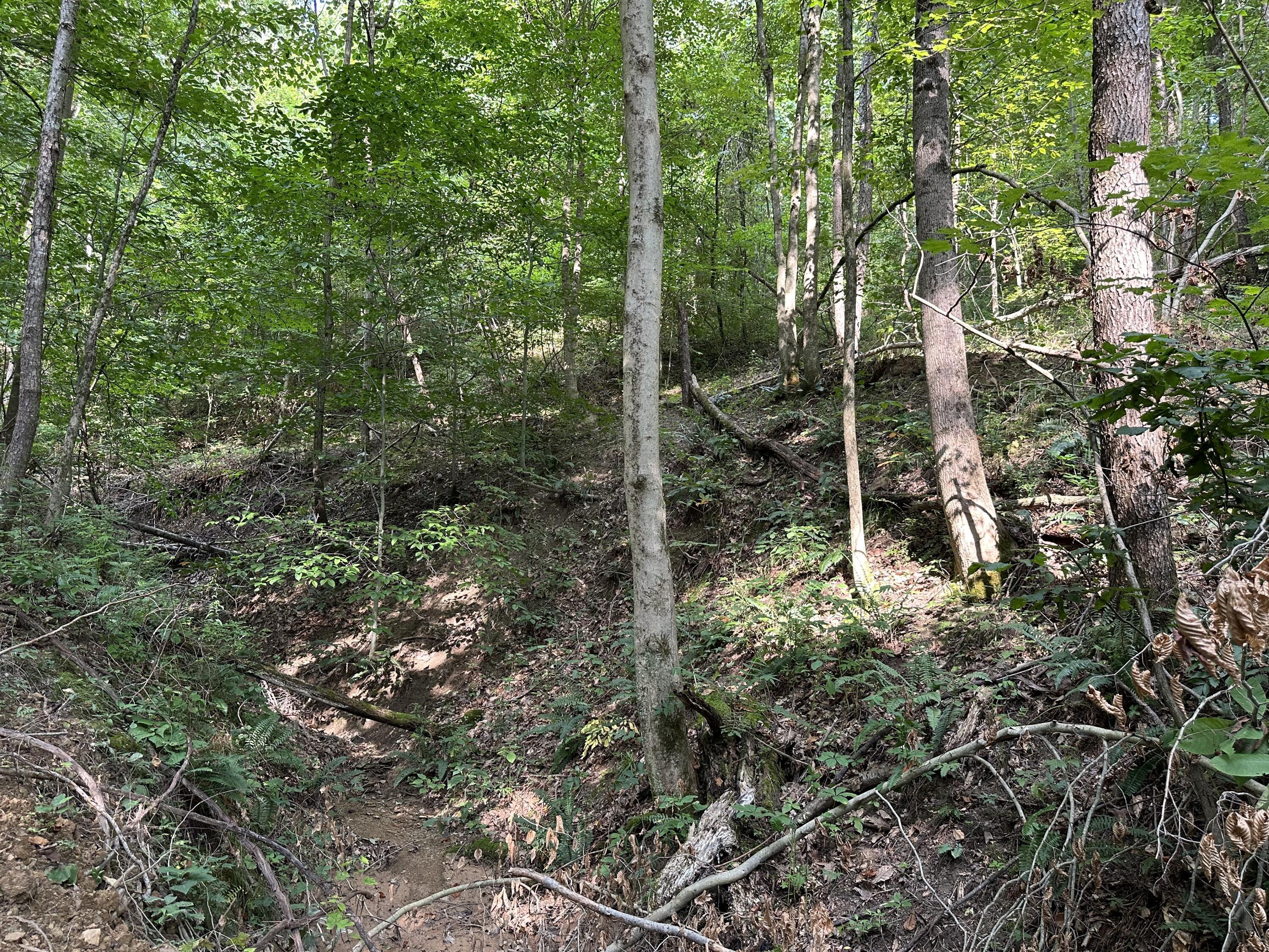 6690 Old State Road, (Perry Ridge - Tract 6)