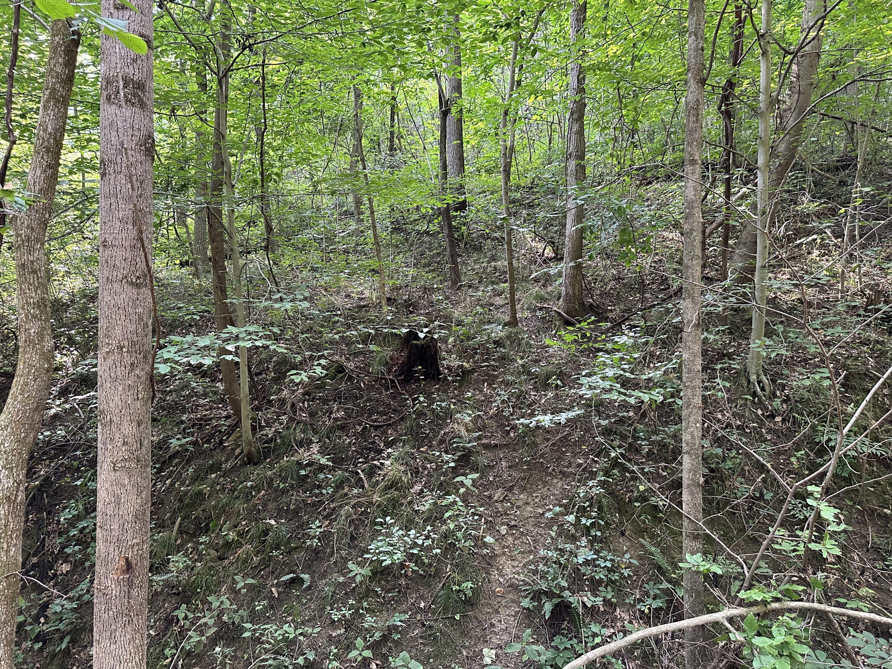 6690 Old State Road, (Perry Ridge - Tract 6)