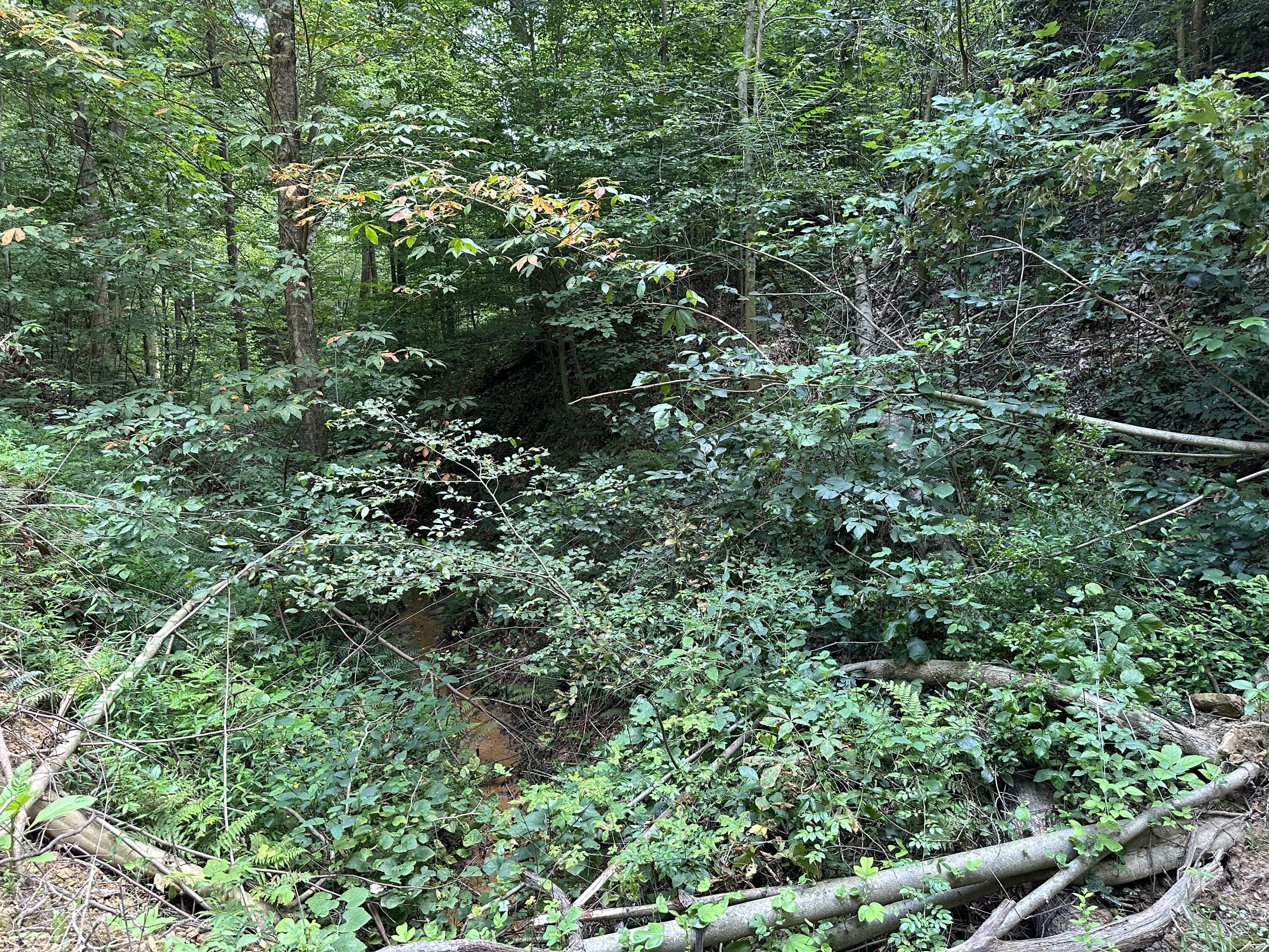 6690 Old State Road, (Perry Ridge - Tract 6)