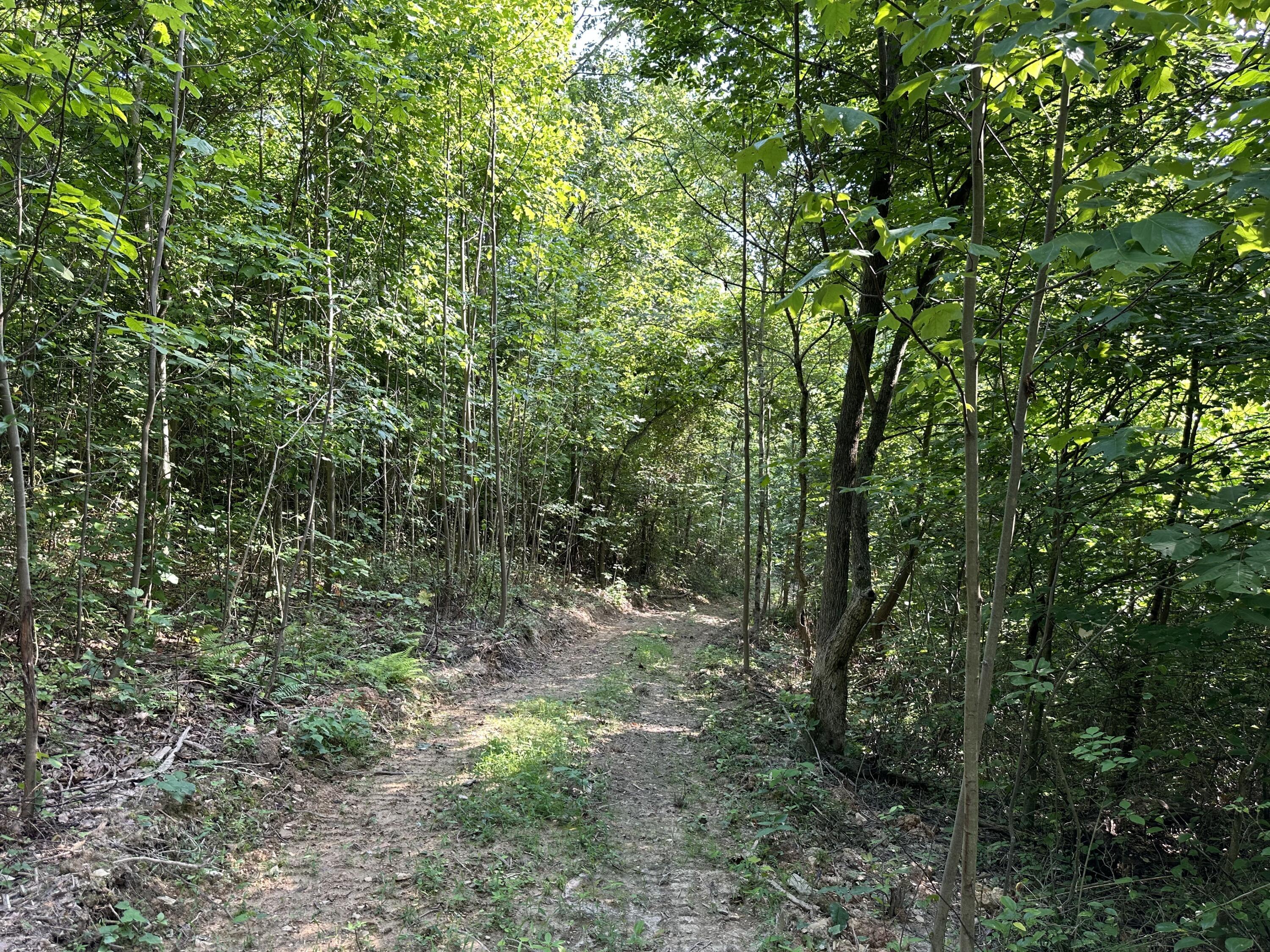 6690 Old State Road, (Perry Ridge - Tract 6)