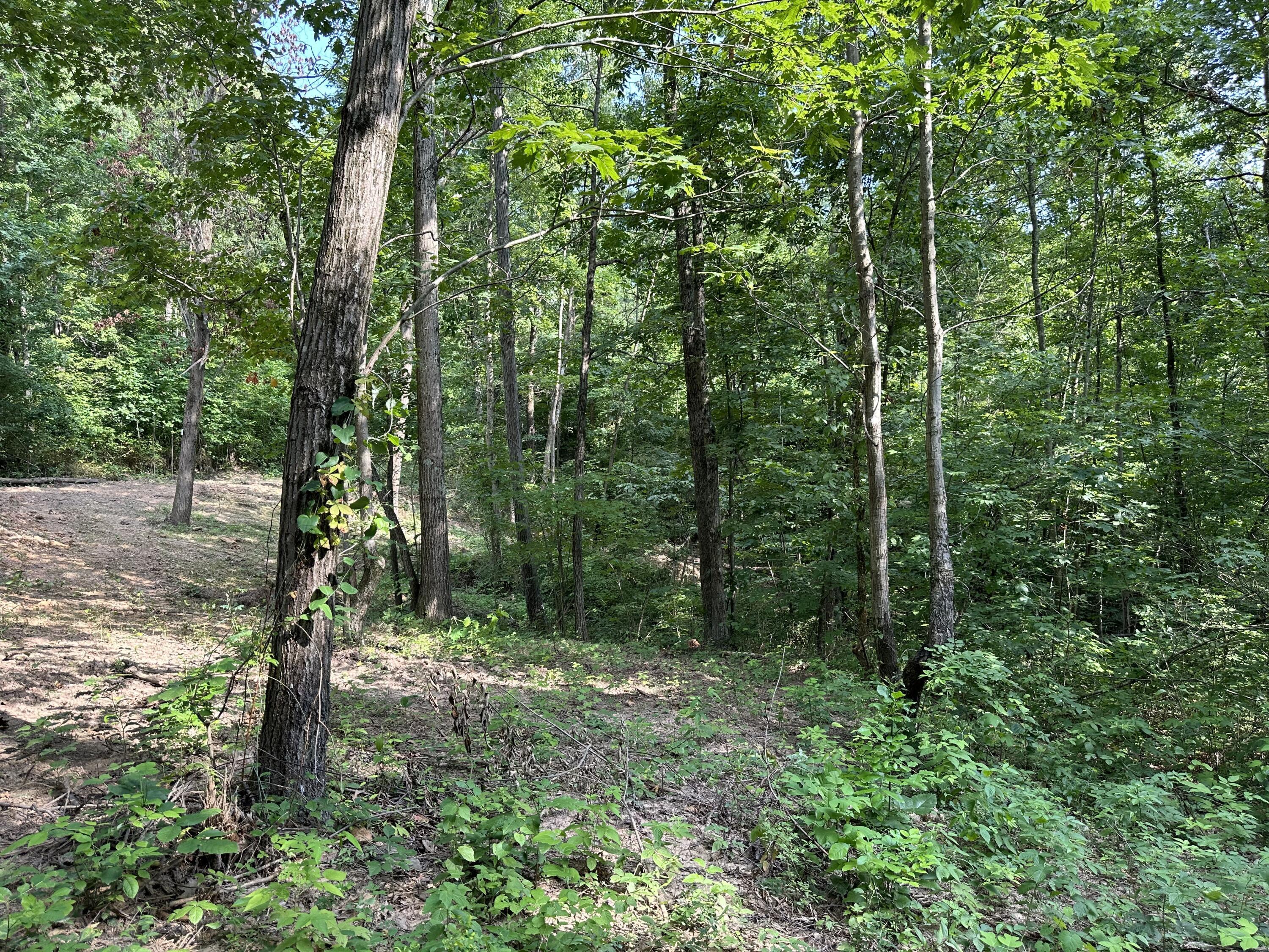 6690 Old State Road, (Perry Ridge - Tract 6)