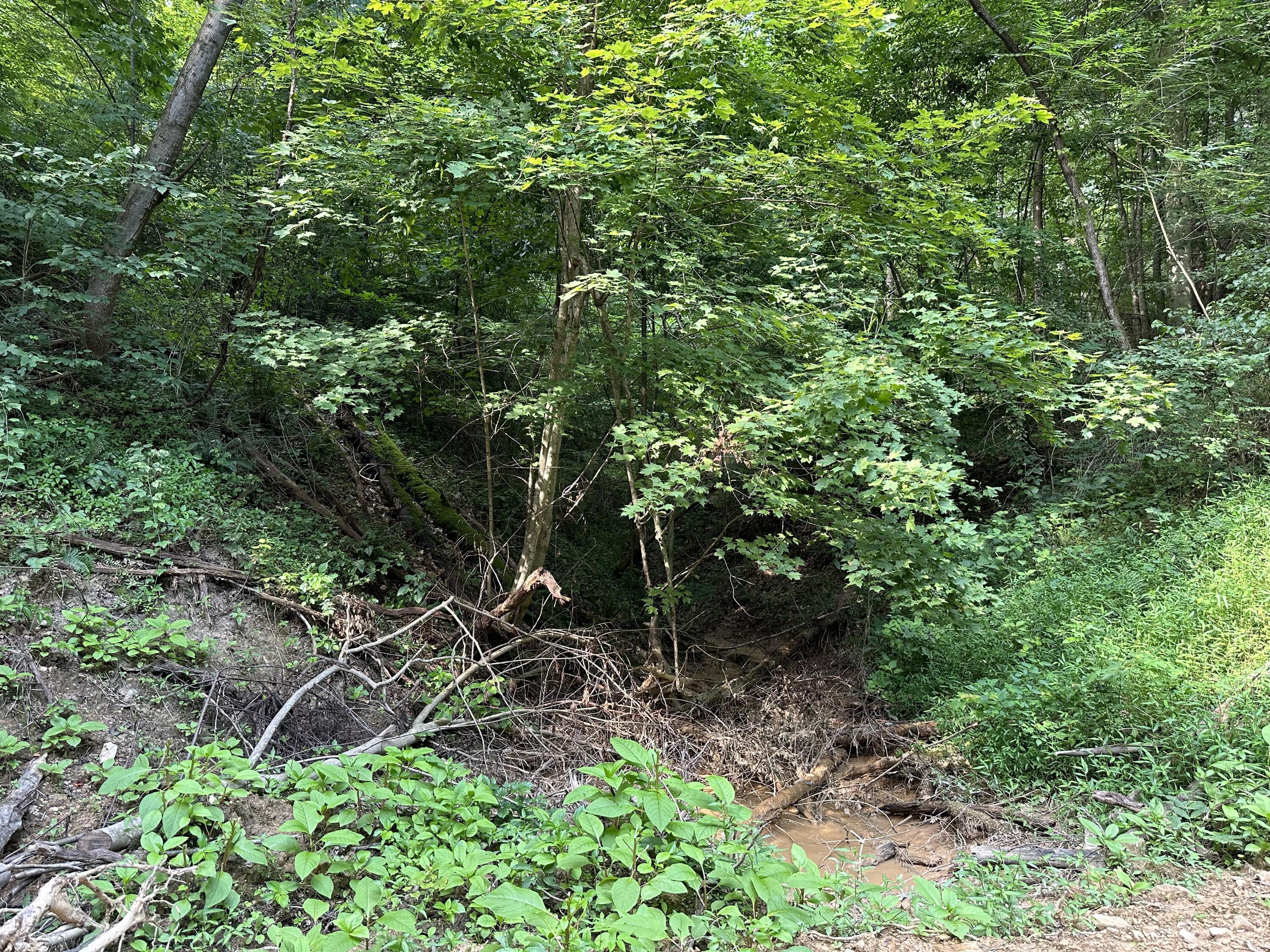 6690 Old State Road, (Perry Ridge - Tract 6)