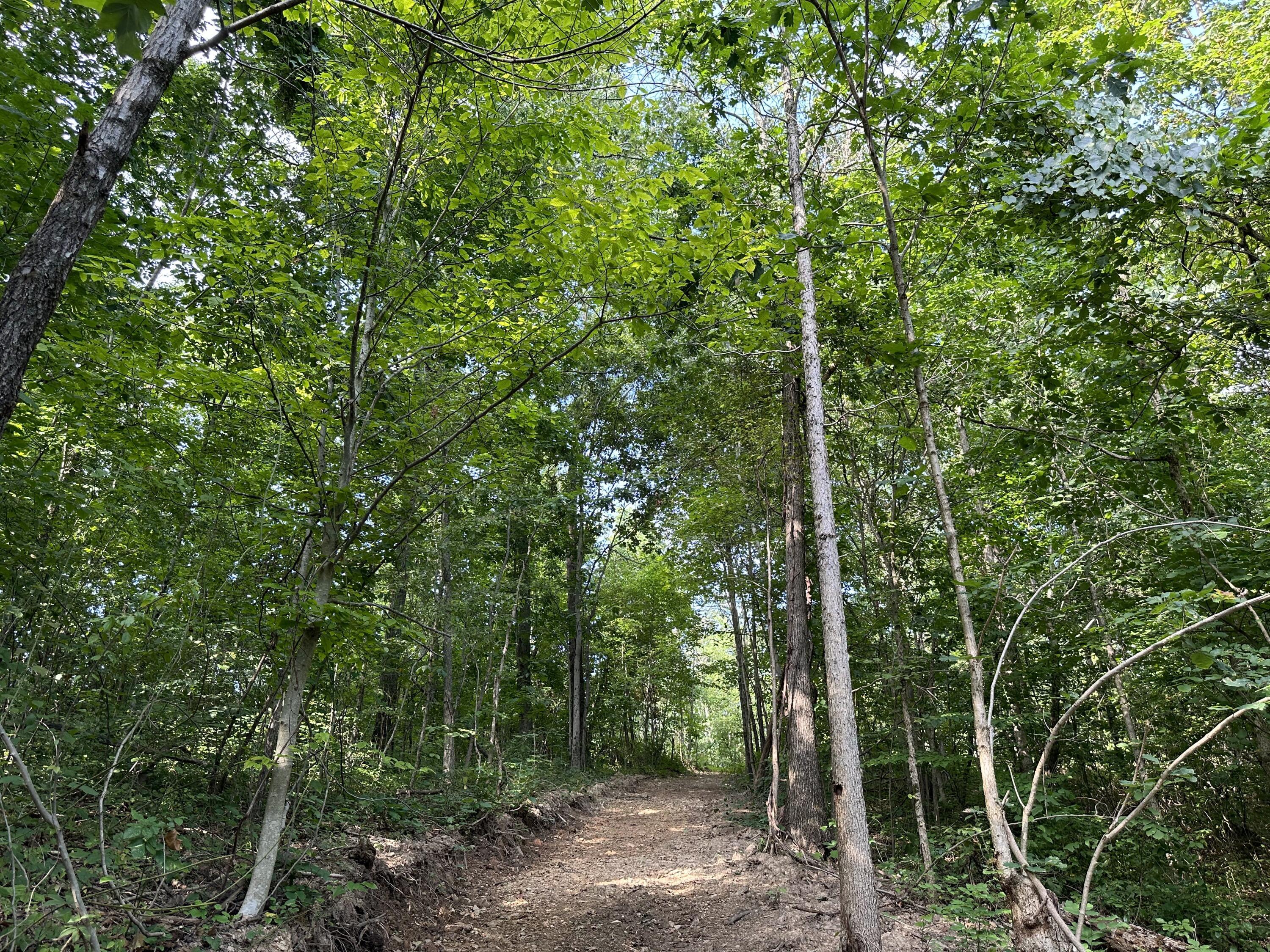 6690 Old State Road, (Perry Ridge - Tract 6)