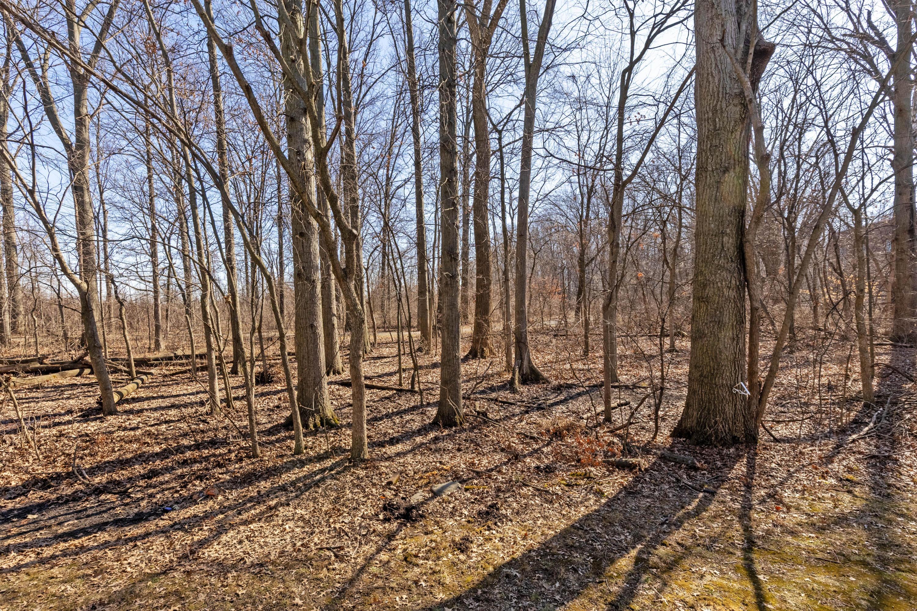 8148 Newark Avenue, 14-B