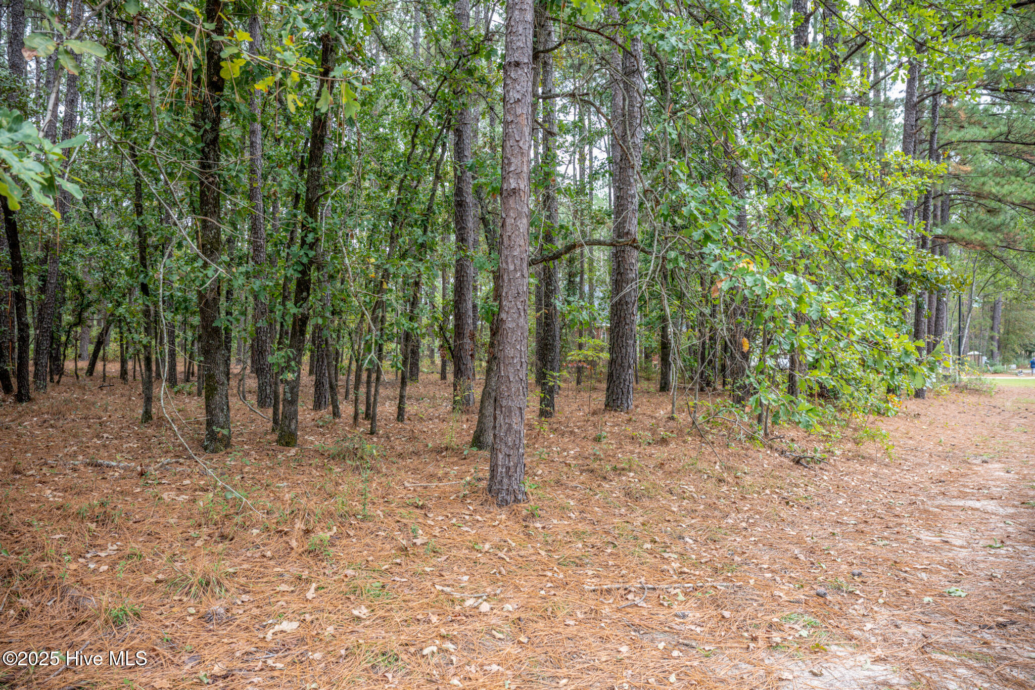 Lot 5 Deercroft