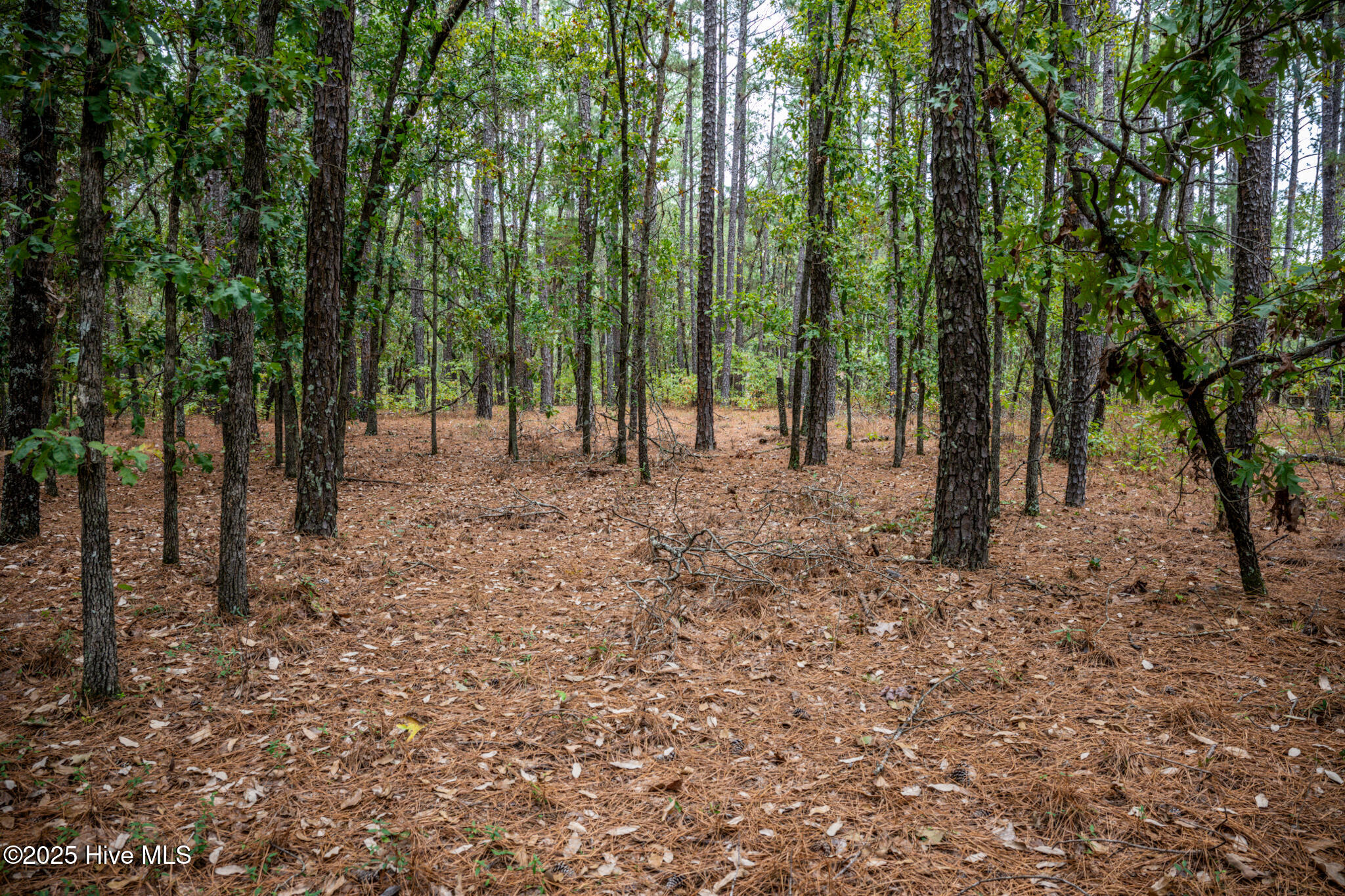 Lot 5 Deercroft