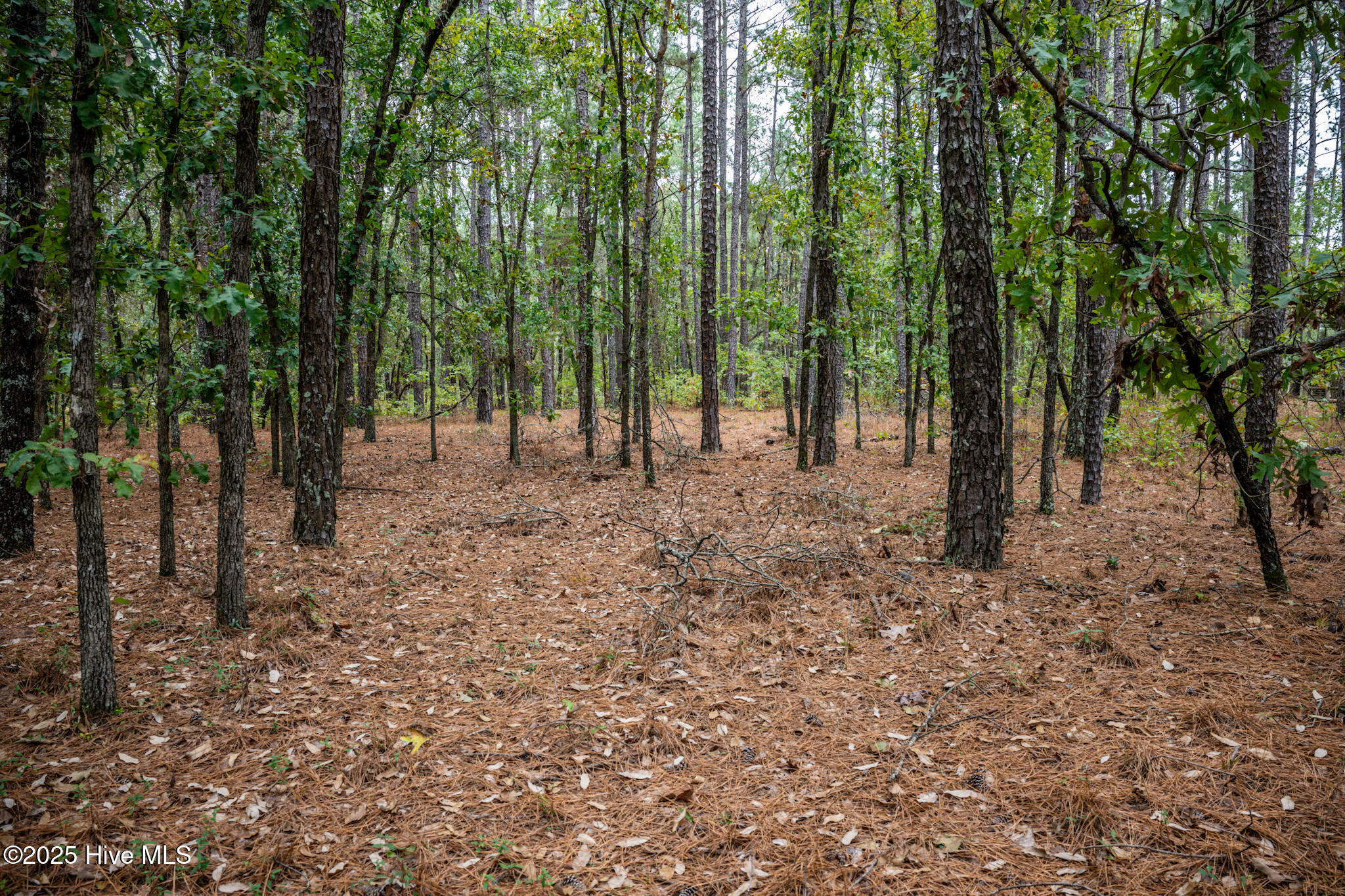 Lot 5 Deercroft