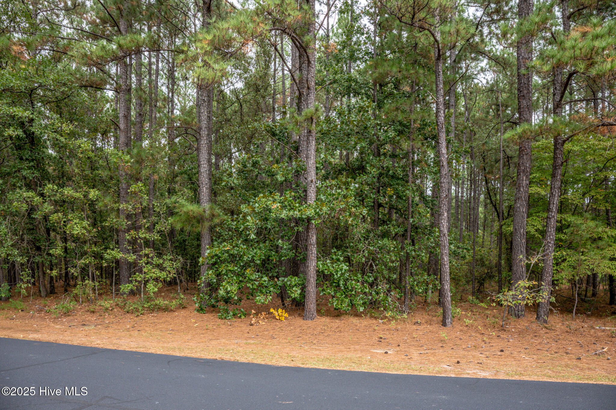 Lot 5 Deercroft