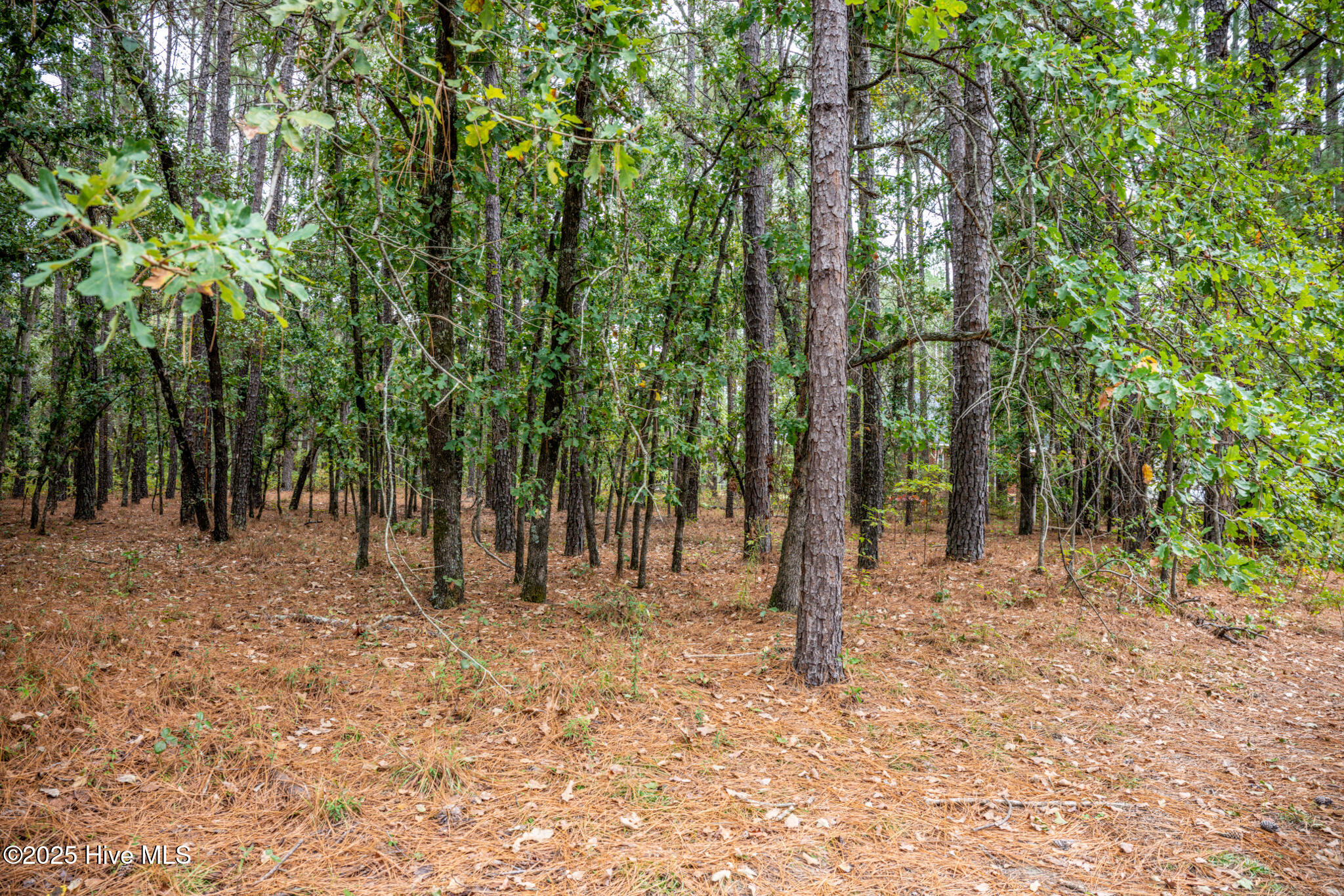 Lot 5 Deercroft
