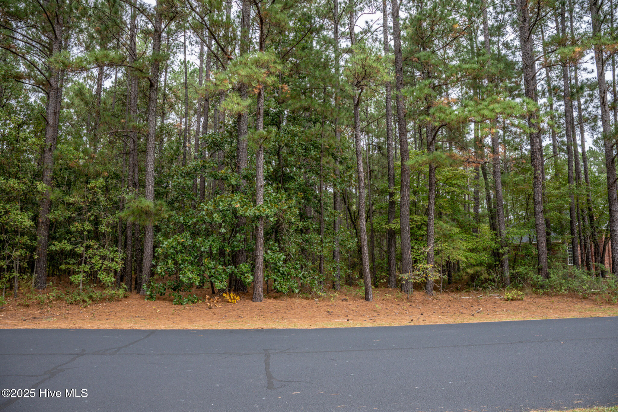 Lot 5 Deercroft