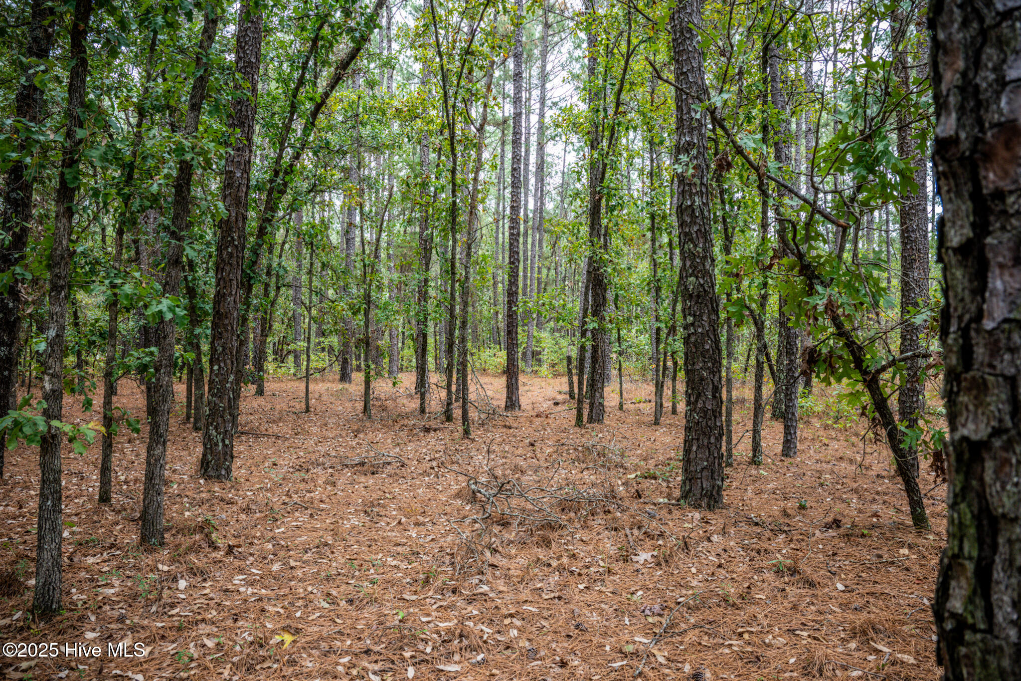 Lot 5 Deercroft