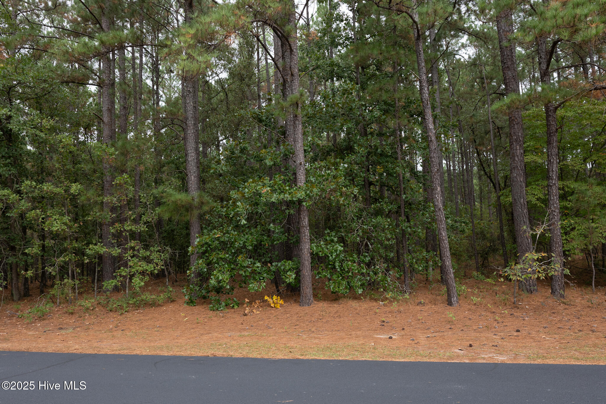 Lot 5 Deercroft