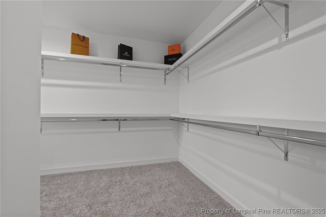 359 Persimmon Tree Drive