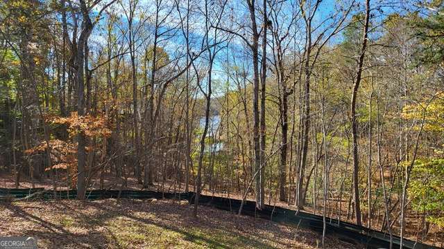 Wooded property with bare trees, scattered autumn leaves, and a black fence.