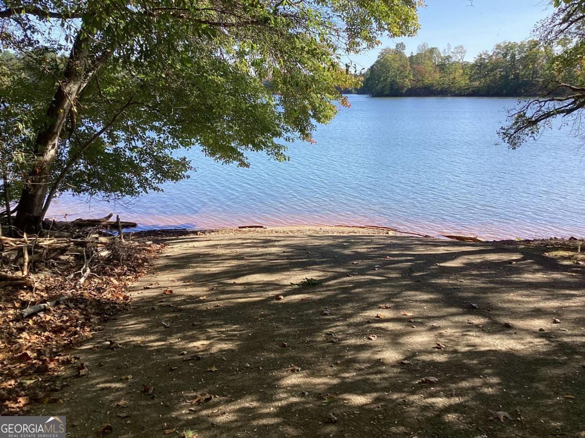 Lake shoreline beneath leafy trees, with a shaded dirt bank and wooded far shore.