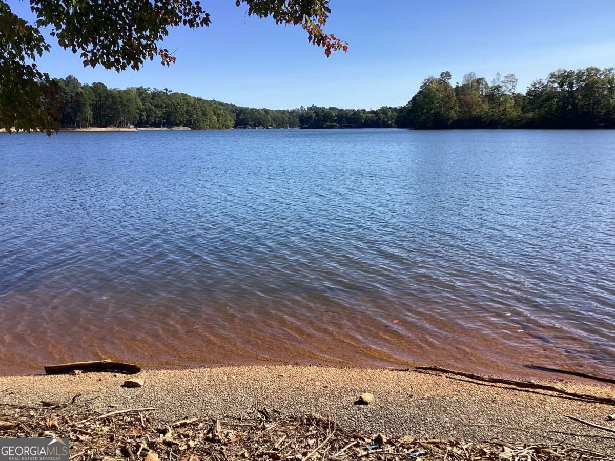 Lakefront shoreline with pebbles, overhanging leaves, and wooded banks across the water.