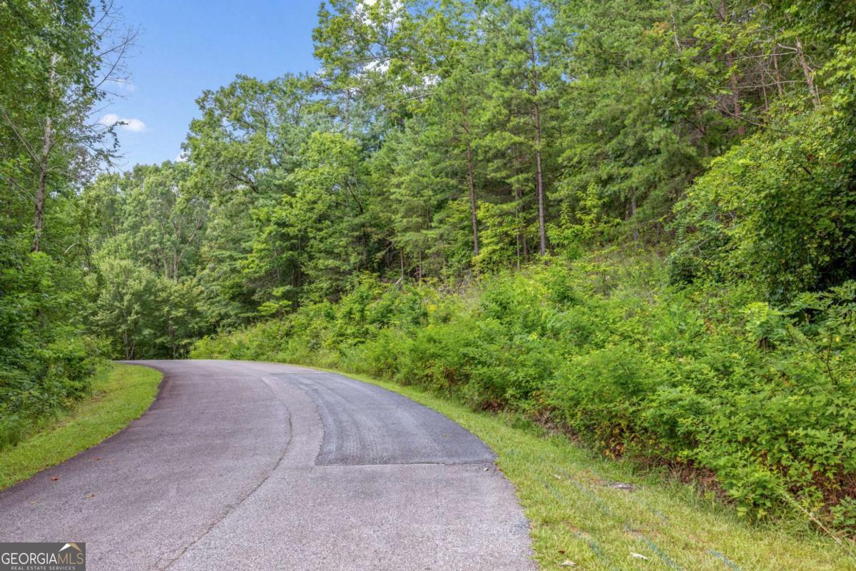LOT 39 Pippin Circle
