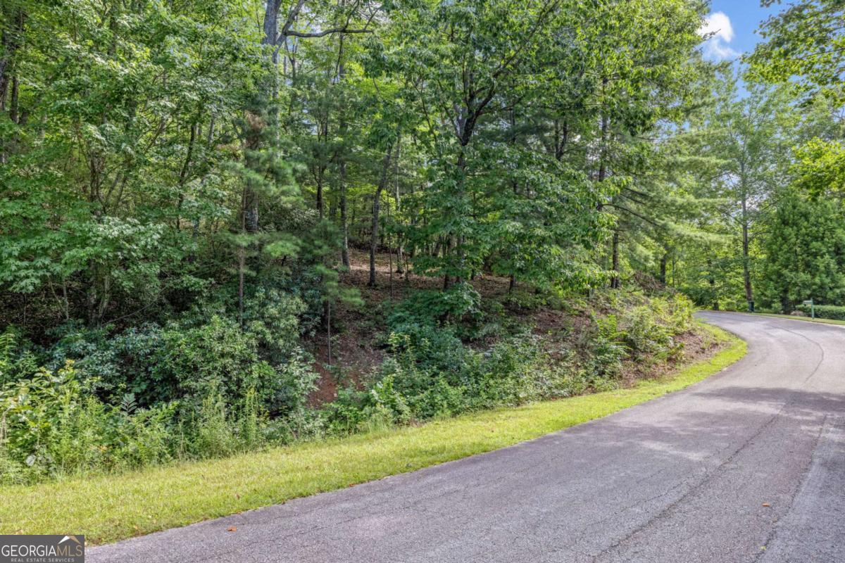 LOT 39 Pippin Circle