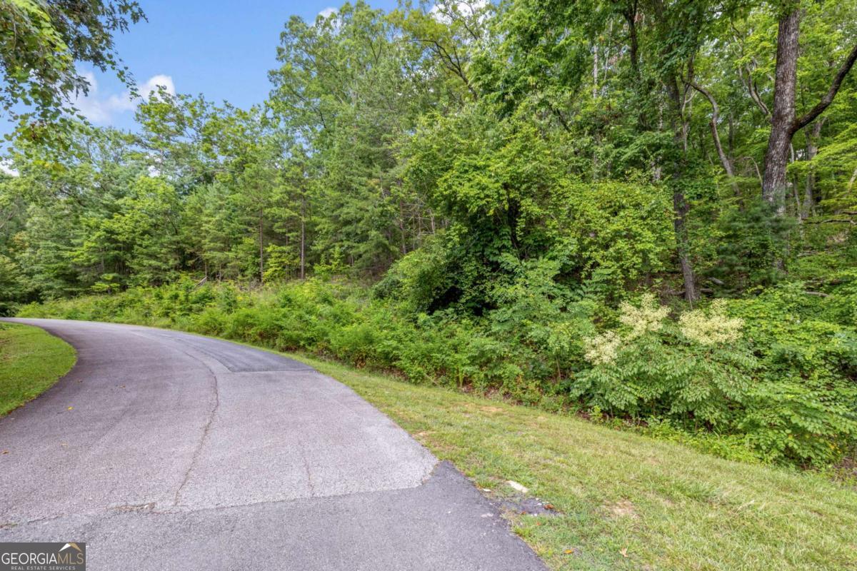 LOT 39 Pippin Circle