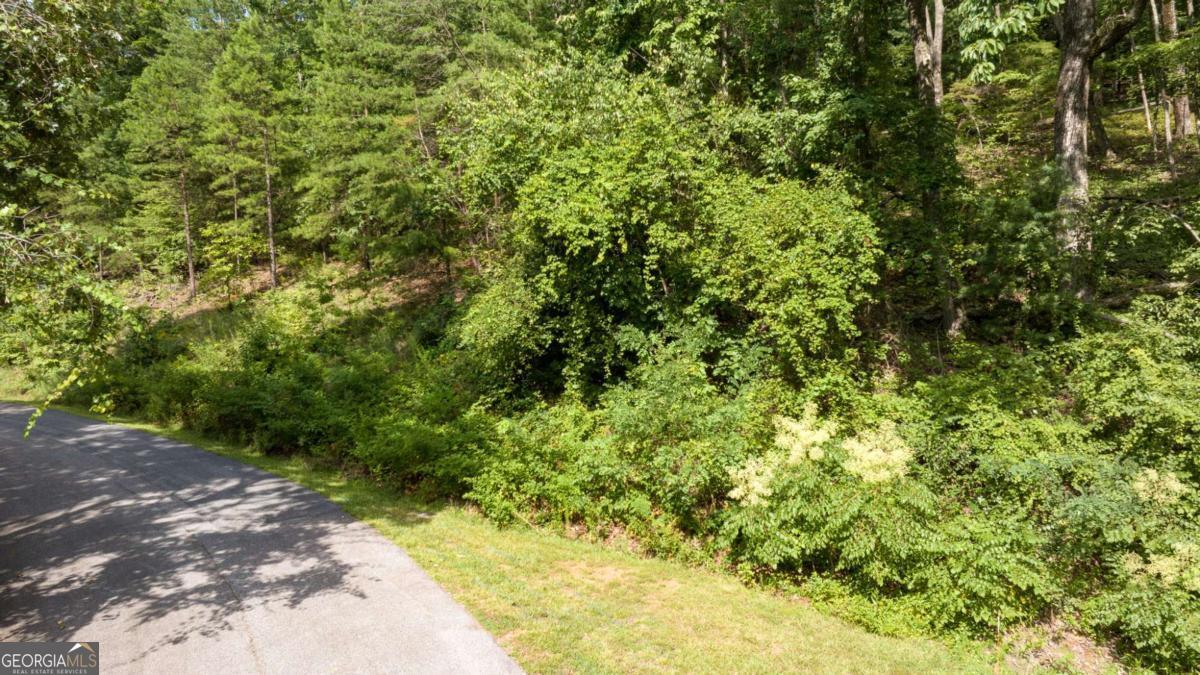 LOT 39 Pippin Circle