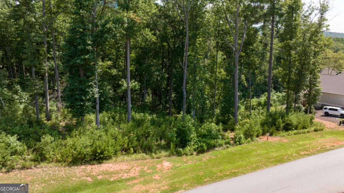 LOT 30 Yonah Lake Drive