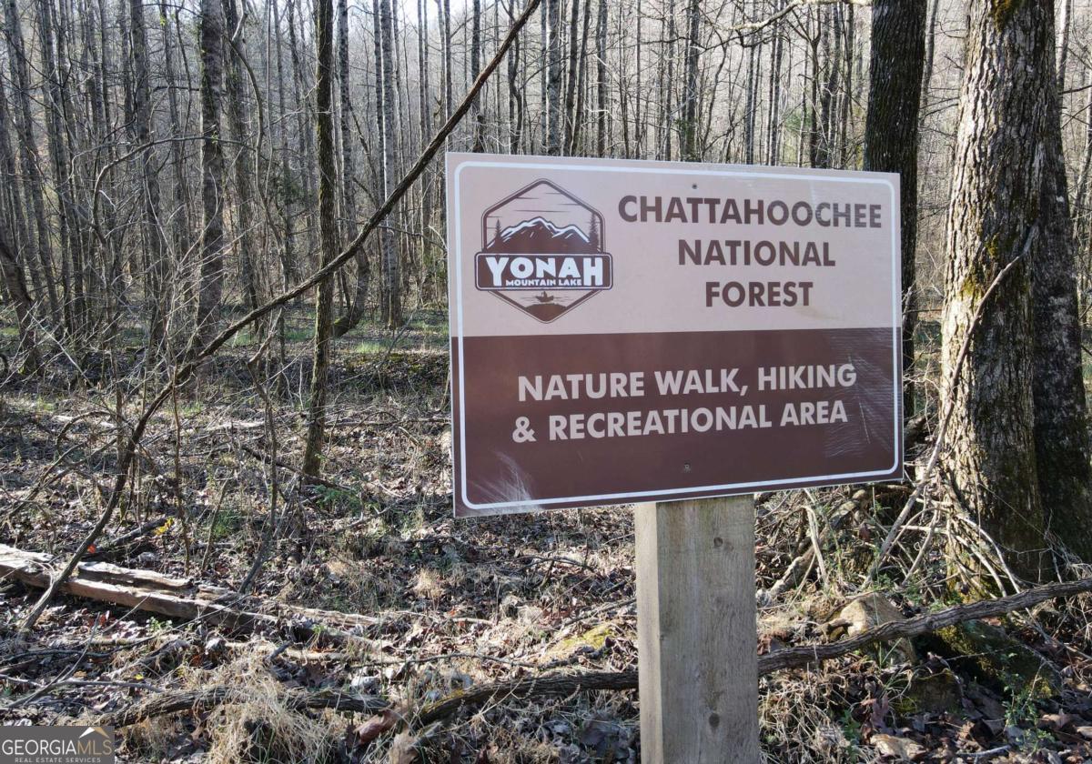 LOT 30 Yonah Lake Drive