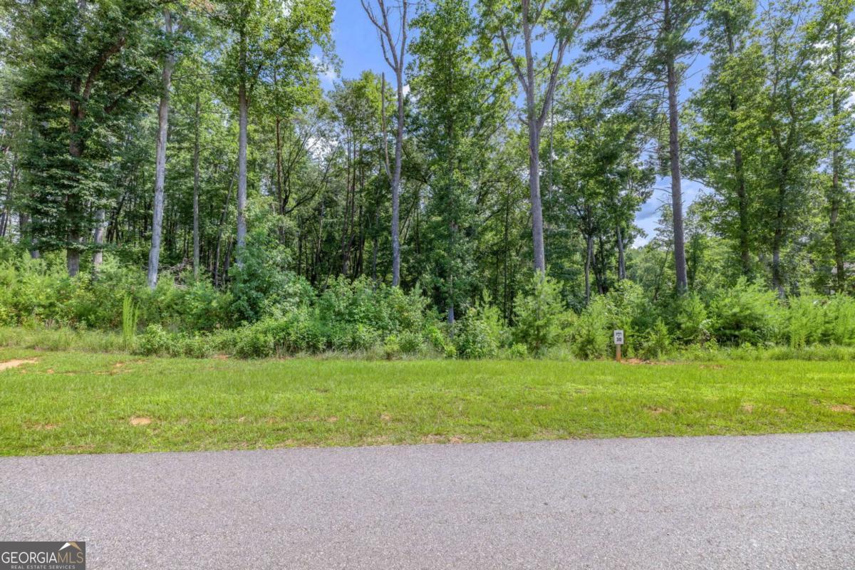 LOT 30 Yonah Lake Drive