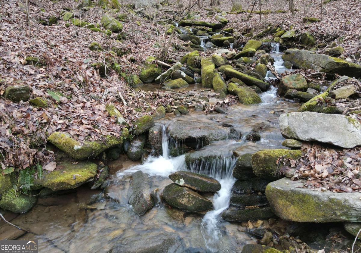 LOT 30 Yonah Lake Drive