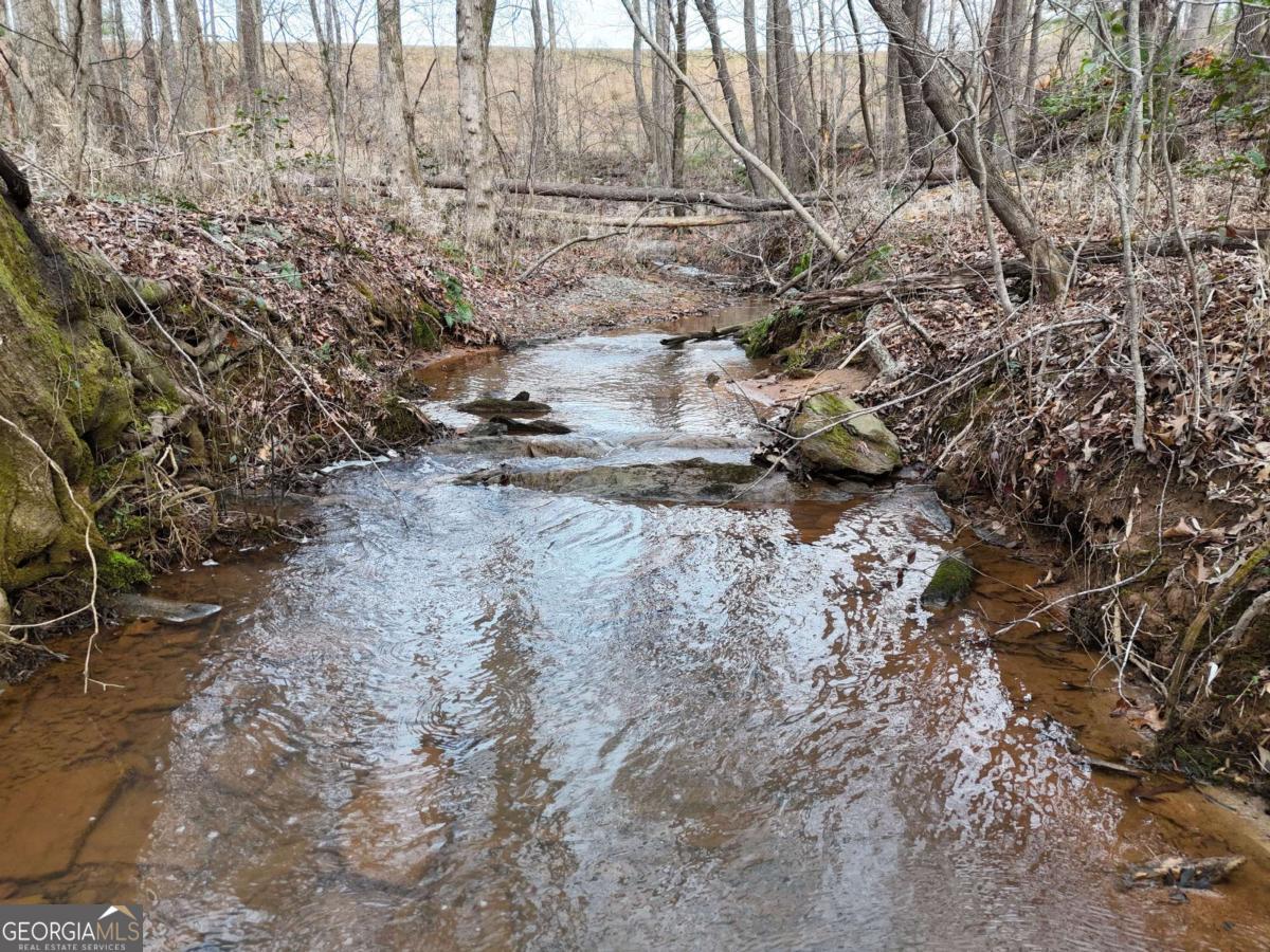 LOT 30 Yonah Lake Drive