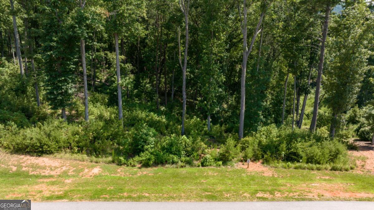 LOT 30 Yonah Lake Drive