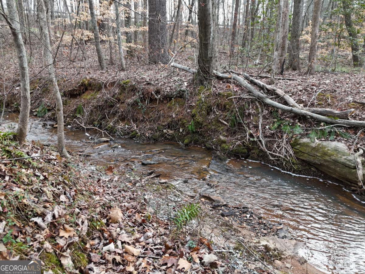 LOT 30 Yonah Lake Drive