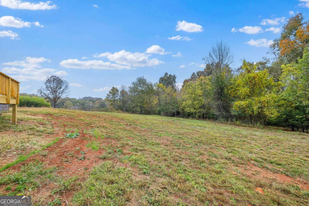 332 Mineral Springs Trail