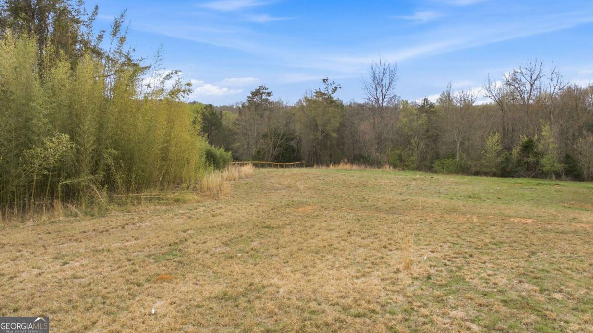 336 Mineral Springs Trail