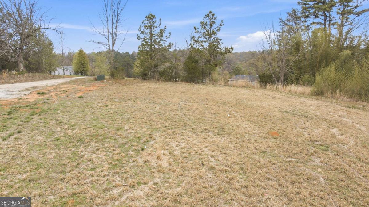 336 Mineral Springs Trail