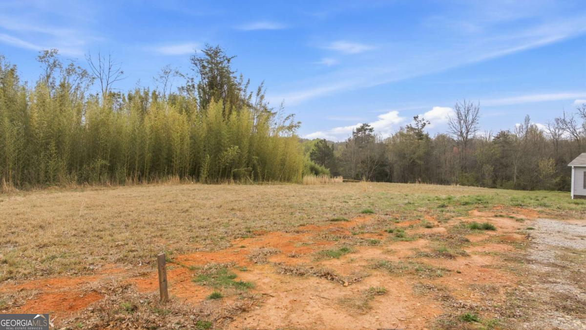 336 Mineral Springs Trail