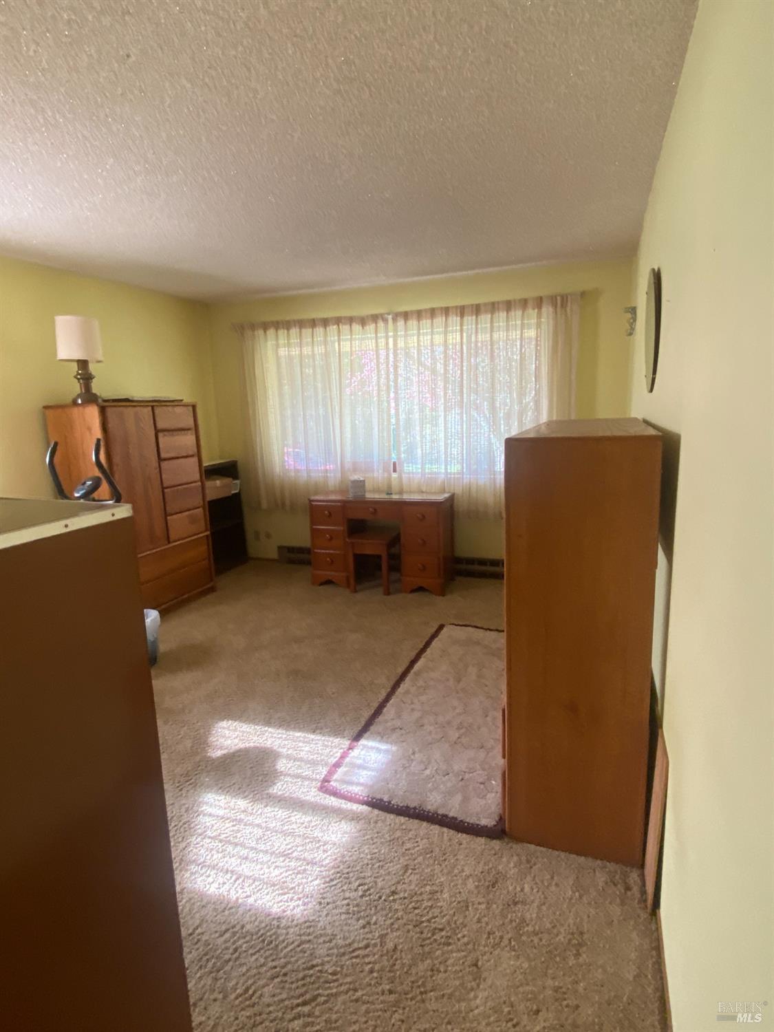 11957 Bodega Highway