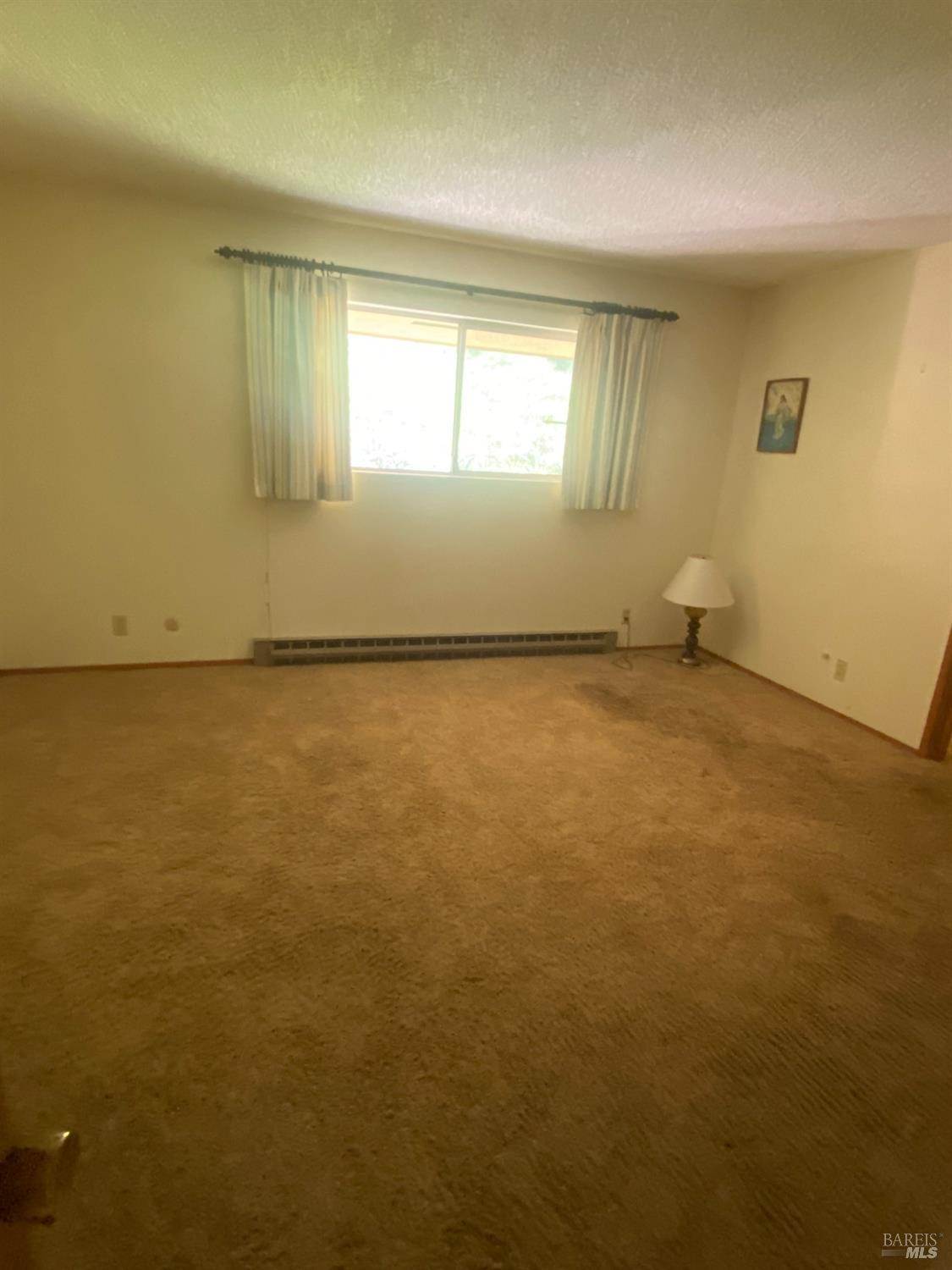 11957 Bodega Highway