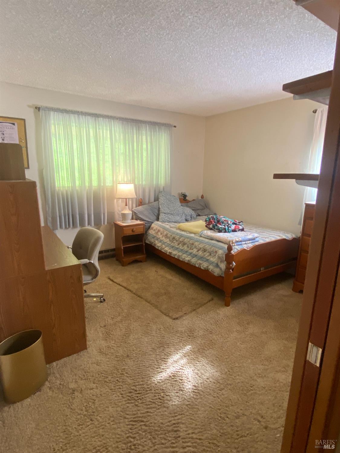 11957 Bodega Highway