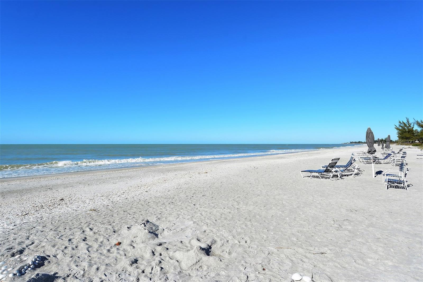 5055 GULF OF MEXICO DR #333