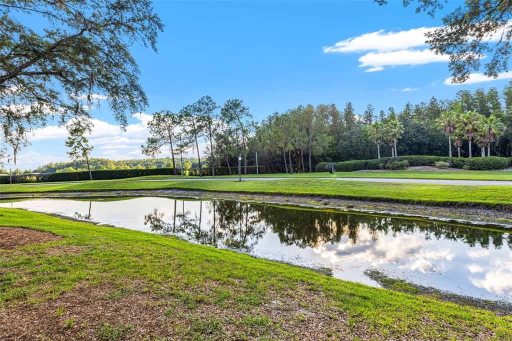 5019 MILL POND RD #3135