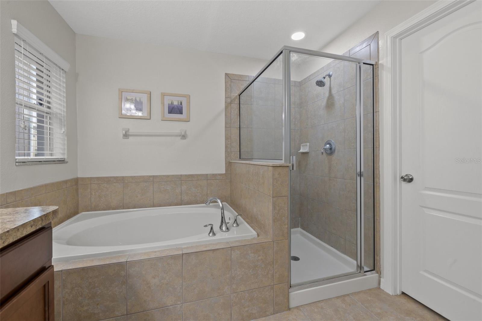3726 MORGONS CASTLE CT