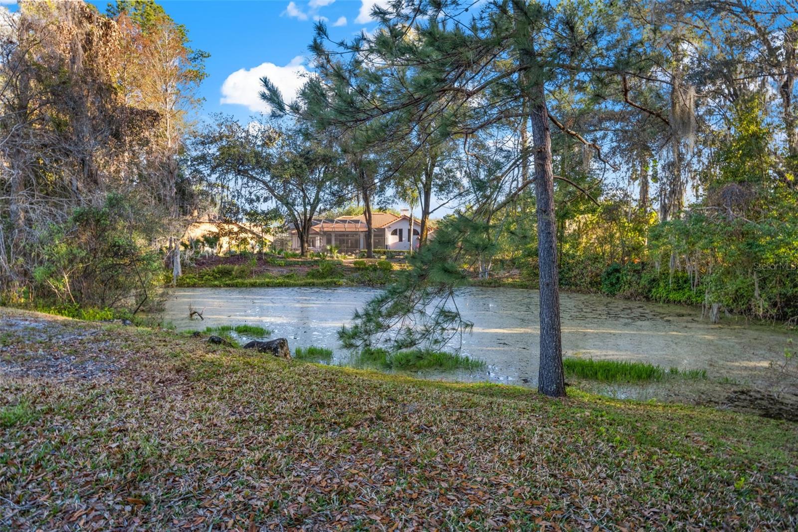 6445 RENWICK CIR