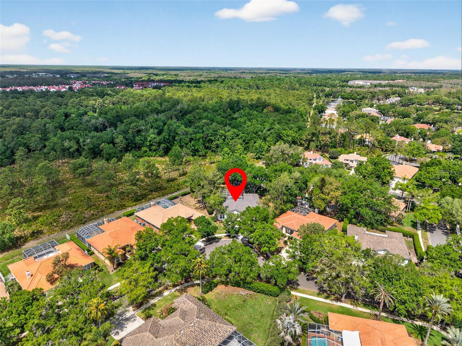 17805 GREEN WILLOW DR