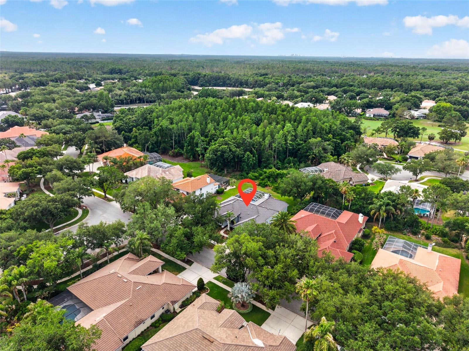 17820 OSPREY POINTE PL