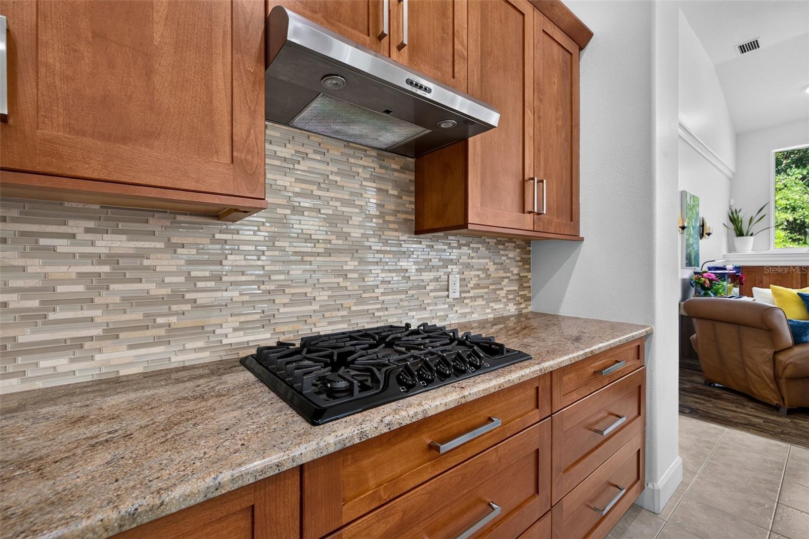 9136 HIGHLAND RIDGE WAY