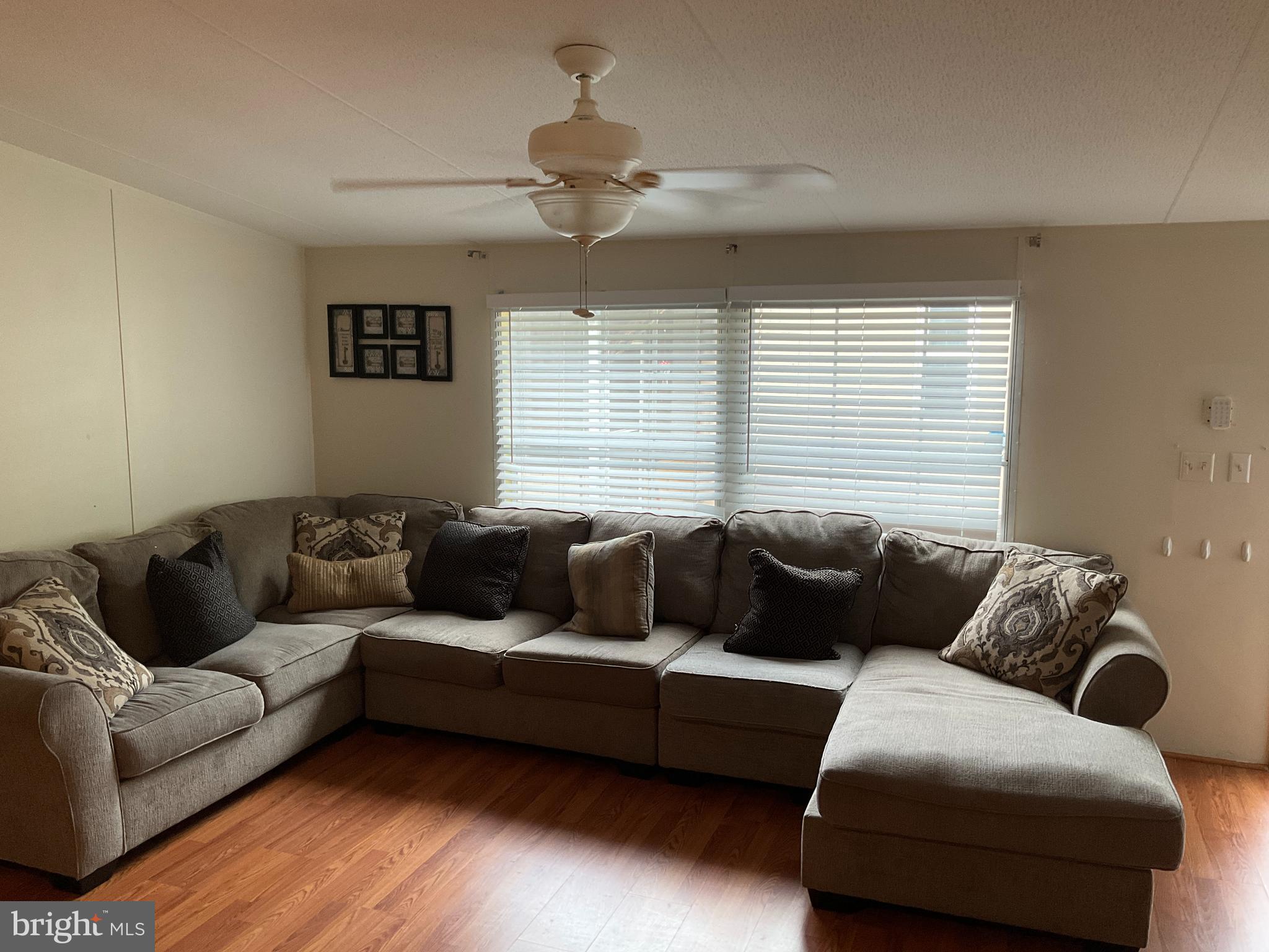 156 Jaguar Drive